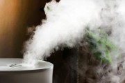 每個人都應該使用加濕器的10個理由