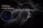 螨蟲高發季，家用除濕機除螨有妙計！