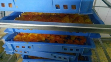 蛋黃烘干存放高溫烘干機(jī)CGF20/SN項(xiàng)目