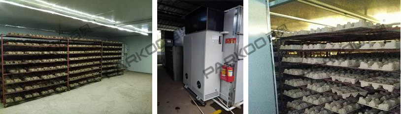 佛山市順德區利之源紙托烘干項目